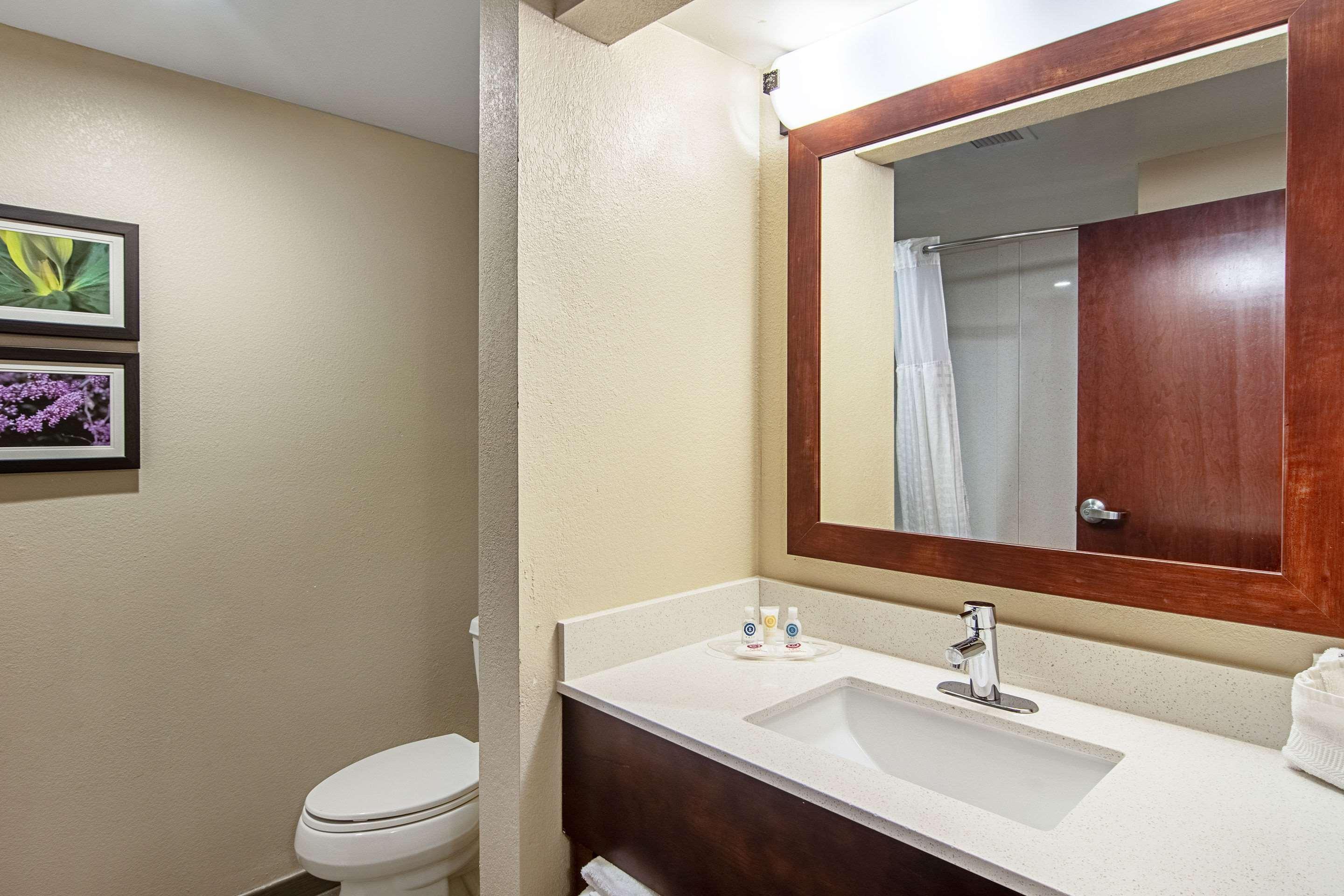 Comfort Suites Knoxville Airport Alcoa Luaran gambar